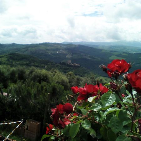 בית הארחה Castiglione dʼOrcia 	Poggio Al Vento מראה חיצוני תמונה