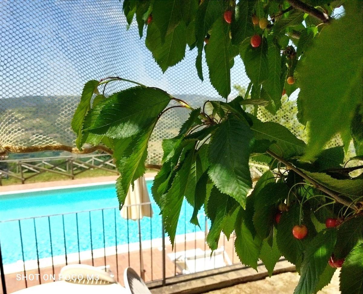 בית הארחה Castiglione dʼOrcia 	Poggio Al Vento מראה חיצוני תמונה