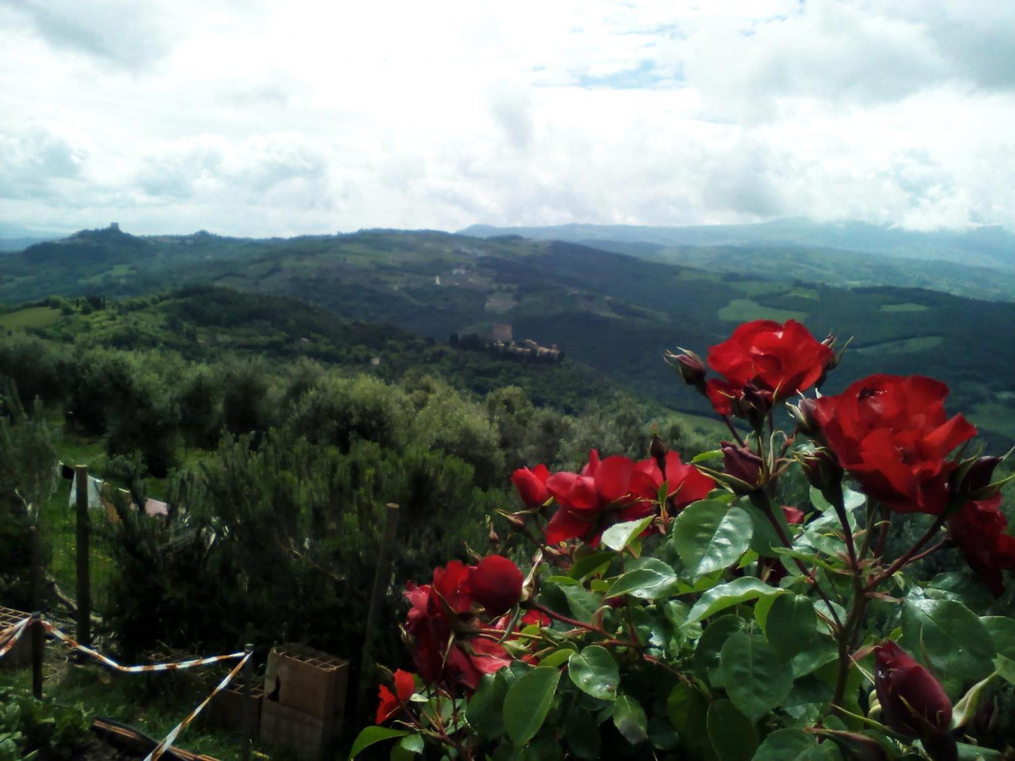 בית הארחה Castiglione dʼOrcia 	Poggio Al Vento מראה חיצוני תמונה